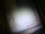 1PIC_0010.jpg