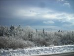 DSCN3776.JPG
