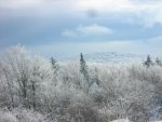 DSCN3777.JPG