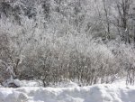 DSCN3778.JPG