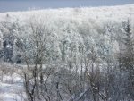 DSCN3779.JPG