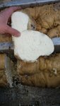 Center Foam Sample.JPG