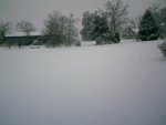 Ice storm 003.jpg