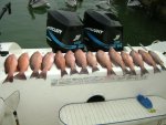 fishing 4-2-08 150.jpg