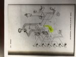 IMG_7062.JPG.jpeg