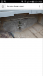 Screenshot_2015-09-04-09-14-10.png