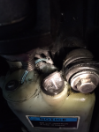 photo230528.png