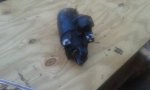 photo228055.jpg