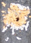 165.JPG