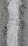 155.JPG