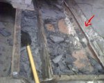 boat_dissection2.jpg