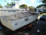 compressed-minnow-001.JPG