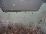 IMG_3654.jpg