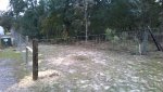 fence2.jpg