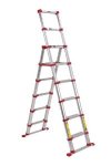 ladder1.jpg