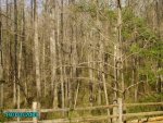 pics from digcam.jpg