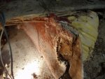 front rot 2.jpg