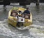 115 seahorse.JPG