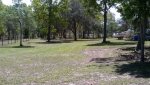 yardwork1.jpg