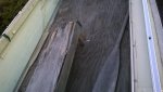 WP_20160129_17_22_36_Pro.jpg
