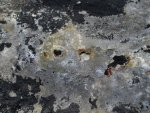 corrosion.JPG