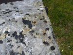 bottom corrosion.JPG