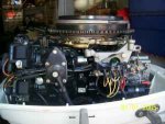 johnson 25hp 6.jpg