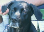 close up buster.jpg