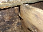 rear transom to bare wood.JPG