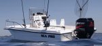 Sea-Proiboats.jpg