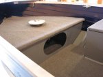 Test Fit Carpet.JPG