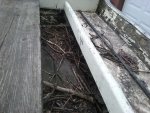20170425_101955.jpg