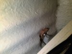 IMG_3877.JPG