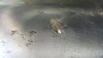 20170505_072937.jpg