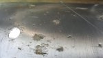 20170505_072948.jpg