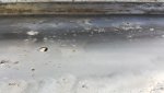 20170505_073005.jpg