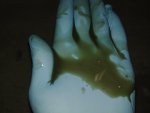 photo272409.jpg