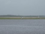 boats 002.jpg
