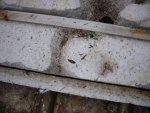 DSCN4022.JPG