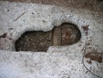 DSCN4019.JPG