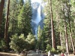 IMG_2490.jpg