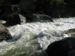 IMG_2724.jpg