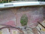DSC00910.JPG