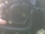 IMG00049.jpg