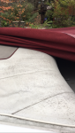 photo280598.png