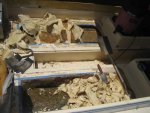 Aristo foam out.jpg