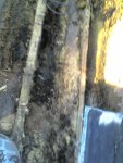 06-06-09_1835.jpg