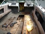 iboat 1.jpg