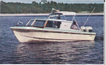 photo288601.png