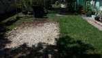 20180622_115003_resized.jpg